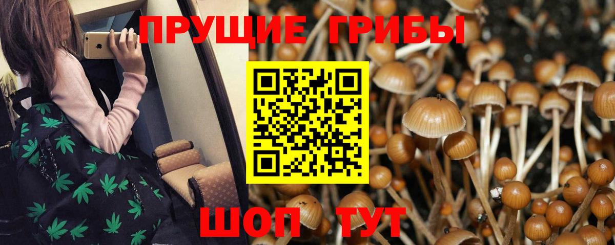 LSD-25  NBOMe  Каннабис  Городец  Вход с VPN  МЕФ кристаллы  Cocaine  Гашиш  Героин 